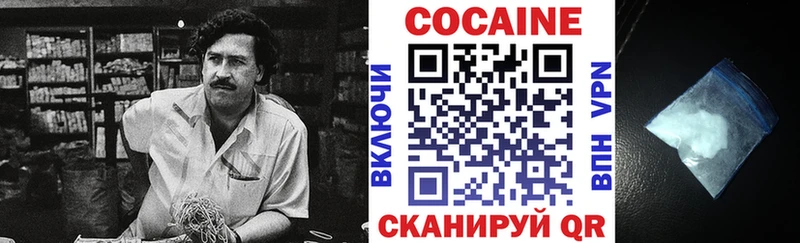 Cocaine Fish Scale  Купить закладки  Тобольск 