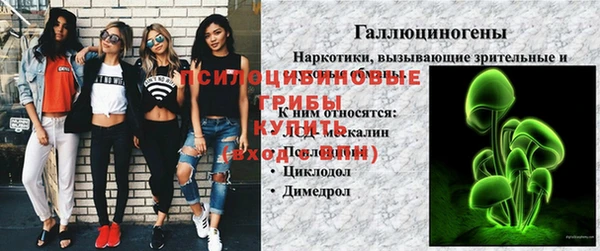 хмурый Козельск