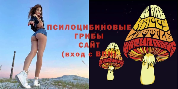 хмурый Козельск