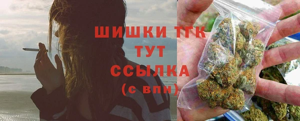 хмурый Козельск